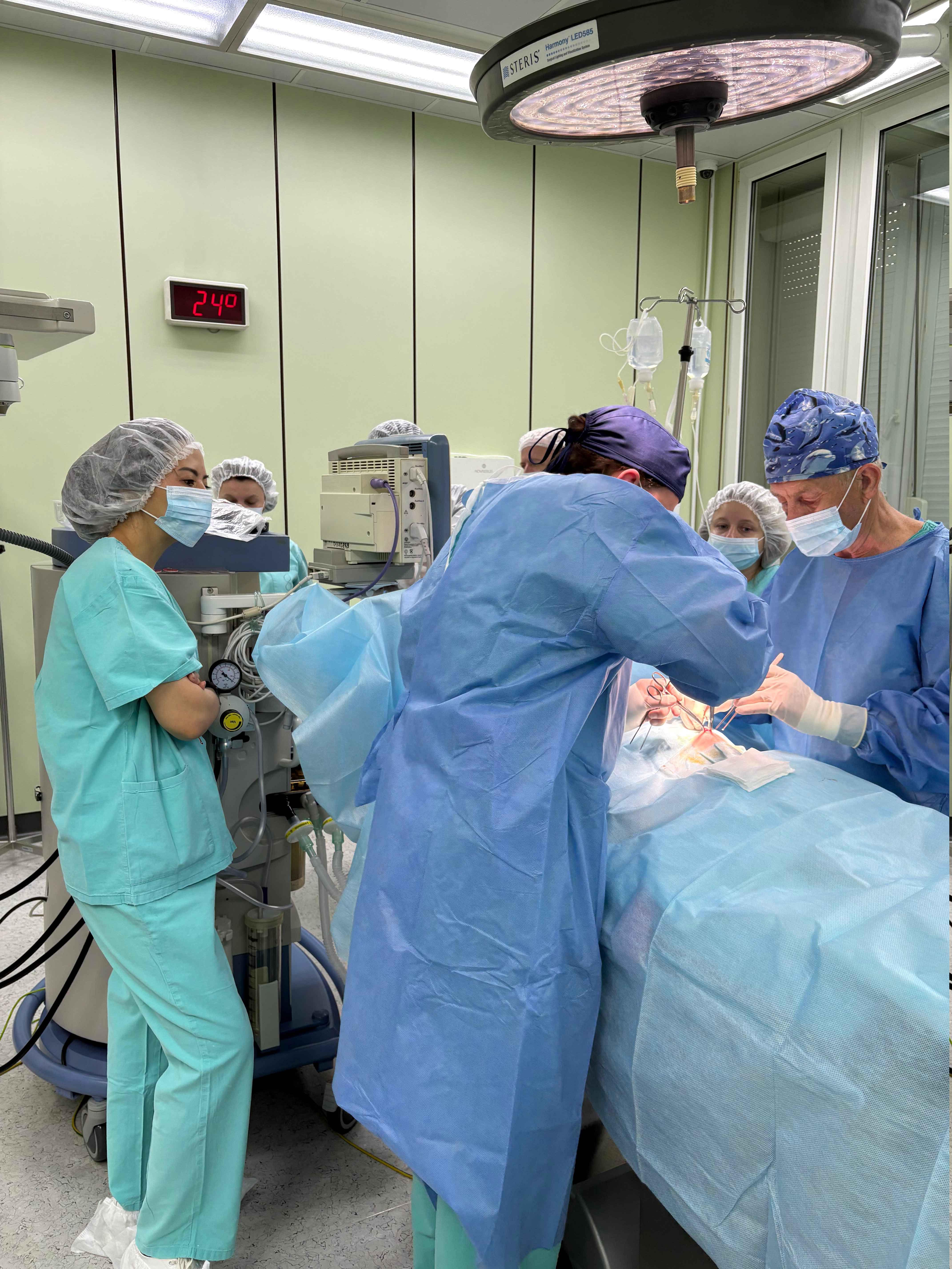 Pedikulyozni aniqlash, bemorni toliq va qisman sanitariya bilan davolash Pedikulyozni aniqlash, bemorni toliq va qisman sanitariya bilan davolash